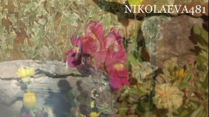 Кладенчова Вода