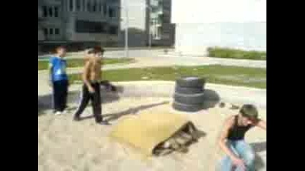 Mov00006.3gp