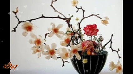 Икебана... ...изкуството за цветята...(white)...(music Francis Goya)... ...
