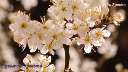 Пролетна красота и нежна музика - авторски