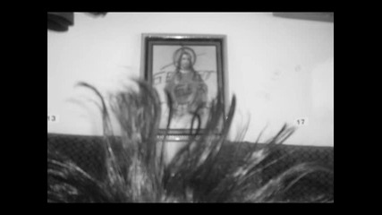 Cock Sparrer - We`re Coming Back