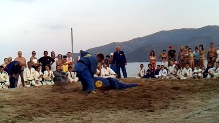 Real Aikido - 2012