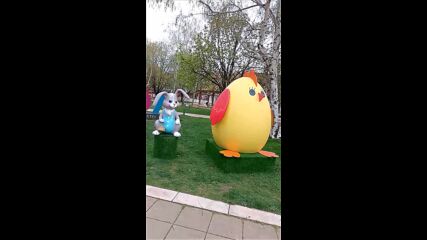 Vid_20230408_155948.mp4