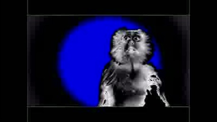 T.o.p. - Turn It Up (robotaki Remix) 