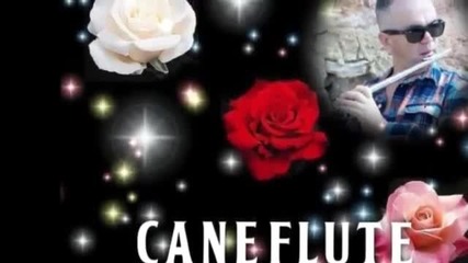Cane Nikolovski - flute - Moonflower (flor De Luna)