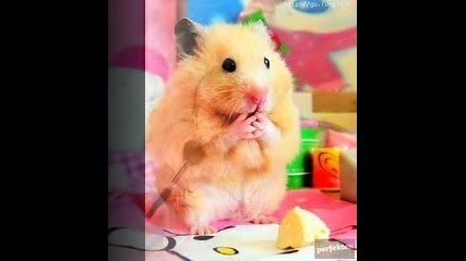 funny 