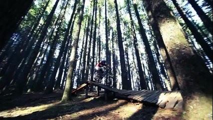 Mountain Bike Gnarly Freeride