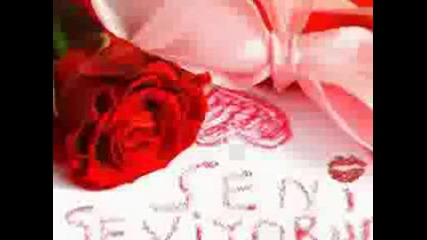 Dj.akman - Seni Seviyorum.avi