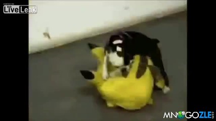 Смях без спирка