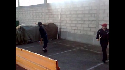 djagata - tenis 3
