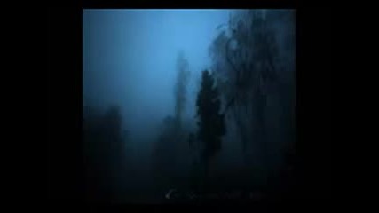 Sadness - The Rain that falls alone​.​.​. ( Full Album )
