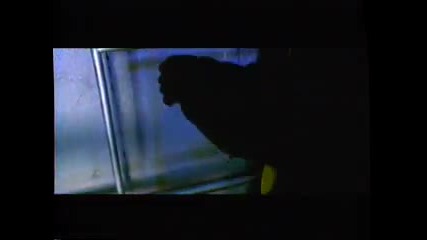 Dmx - Party Up 