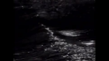 Pearl Jam``alive