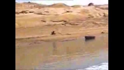 Водни Гафове - Компилация