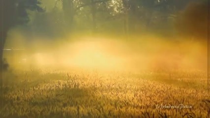 Kevin Kern - Fields of Gold