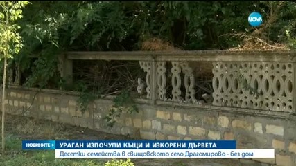 Ураган изпочупи къщи и изкорени дървета в свищовско село