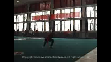 Beijing Wushu Team Trailer