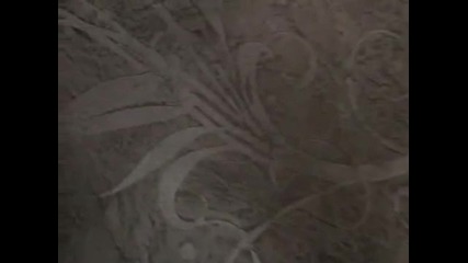 Polished plaster Company Scroll Design