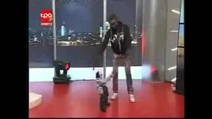 Luda Kukla s goliam Talant