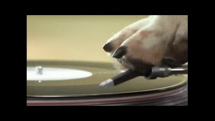 кучешки beatbox 