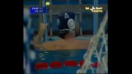 Tamas Kasas