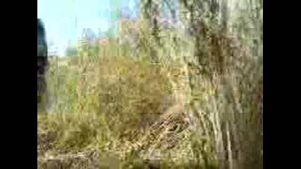 Video Na Seat Ibiza