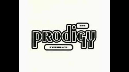 The Prodigy - Weather Experience