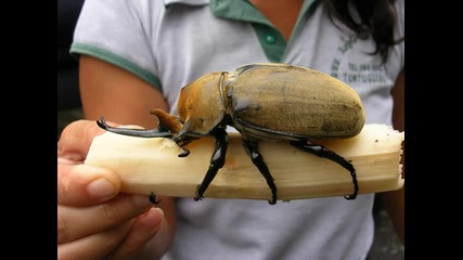 Top 20 Most Unbelievable Photos Part 6