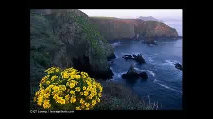 Natalie Cole - Someone That I Used To Love
