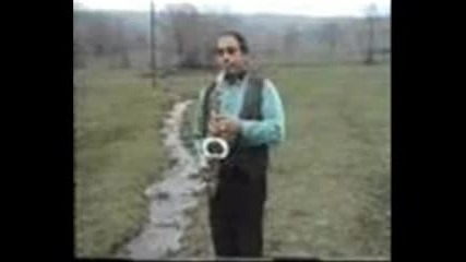 Ziva Dinulovic - Ljinpino Kolo Danc 