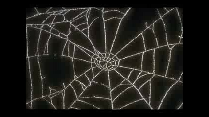 Escape The Fate - The Webs We Weave (chipmun