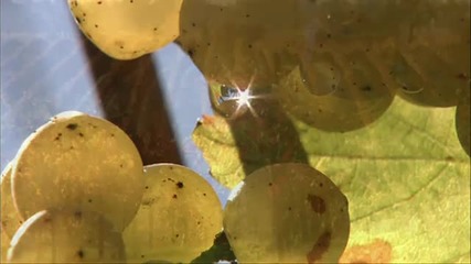 Amazing Landscapes Four Seasons (part 2)