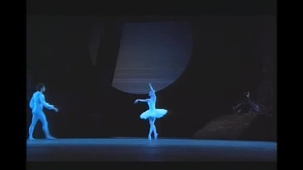 Swan lake Paris Opera 18