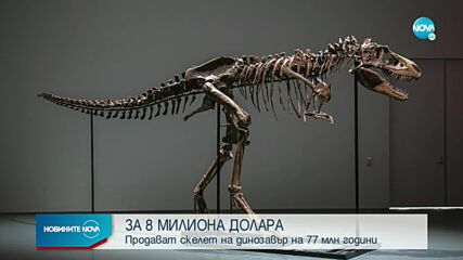 Скелет на динозавър за 8 млн. долара се продава на търг в САЩ