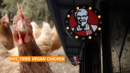 KFC is testing meatless chicken wings and nuggets