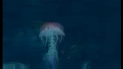 Tomb Raider Underworld - Trailer [ High Quality ]