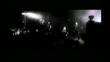 Blindspott Coma 