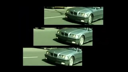 Fang - Palia Darpam Pusha