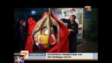Паметник на октопода Паул, Новини T V 7, 20 януари 2011