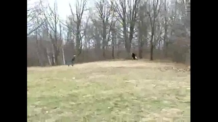 Dirt Bikers Disturbing Bigfoot Video (смях) 