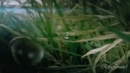 Douglas Mccann - Raining With You