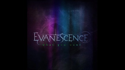 Evanescence - What you Want