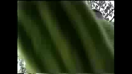 Ube14 - kermit