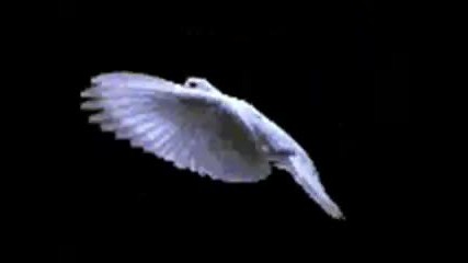 mariah carey - Without You - Превод 