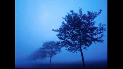 Mono - Waiting for You