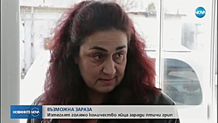 ВЪЗМОЖНА ЗАРАЗА: Изтеглят голямо количество яйца заради птичи грип