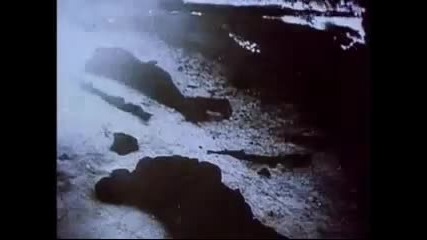 Втората световна война + песен Third Reich From the Sun - Hanzel Und Gretyl
