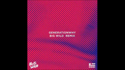 *2016* Zhu - Generationwhy ( Big Wild remix )