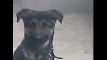 Kuche.3gp