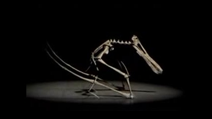 Flying monsters | Летящи чудовища - (2/4)